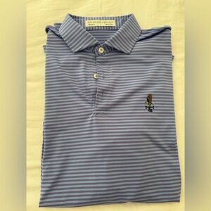 Men's Striped Polo Shirt - Blue and Purple
